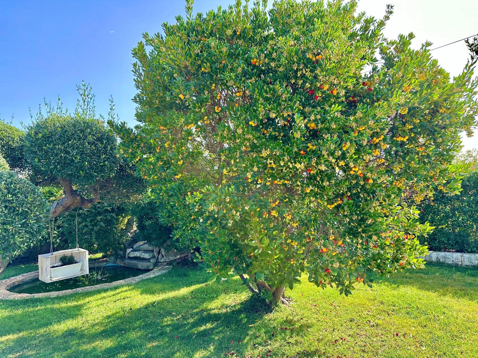 Trulli Fenice 알베르벨로 객실 사진